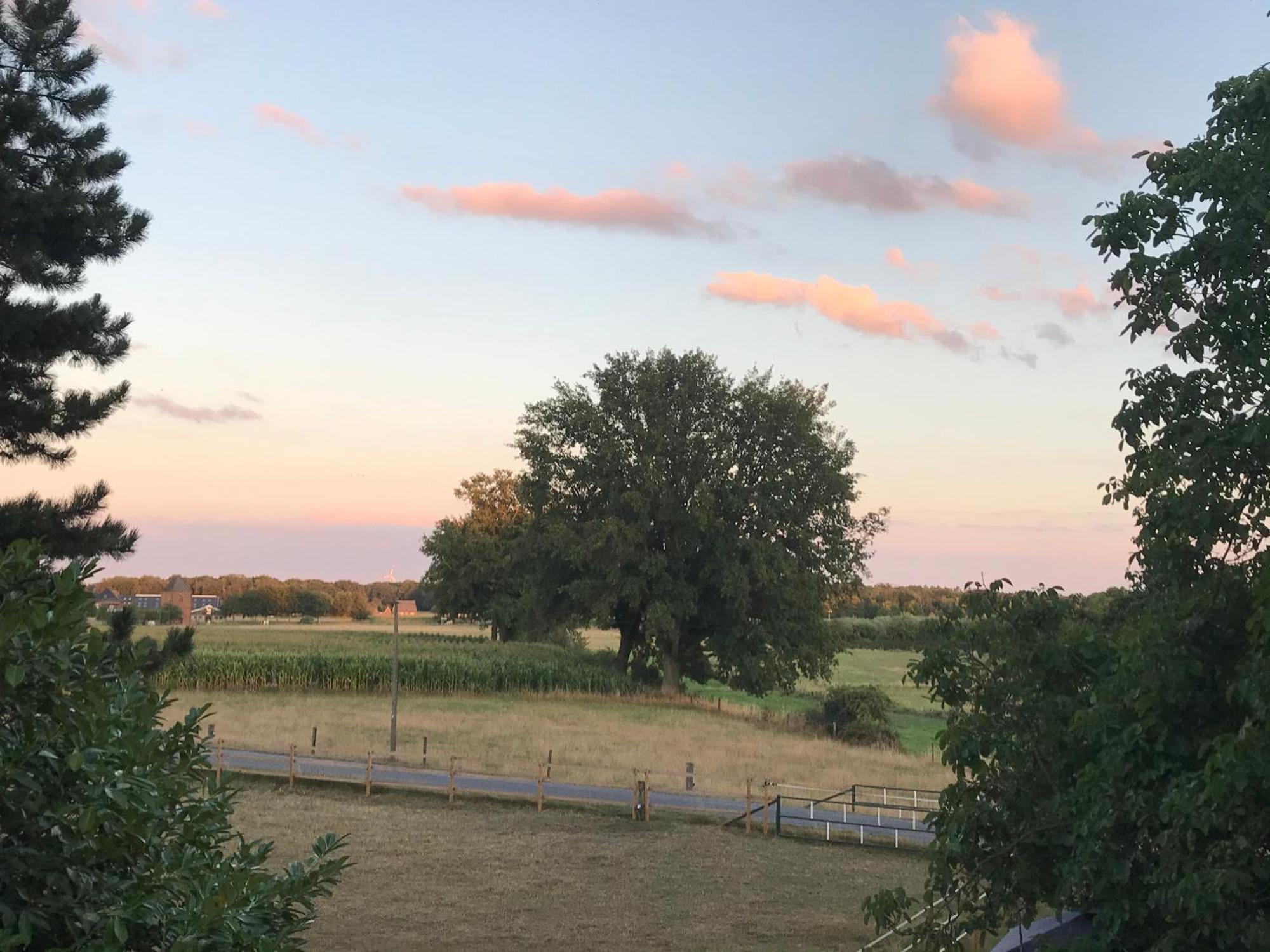 Ks Kotten Bed And Breakfast Rees Exteriör bild